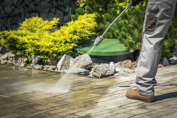 Best Pre-Holiday Cleaning  in Verdi, NV